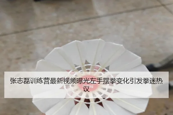 张志磊训练营最新视频曝光左手摆拳变化引发拳迷热议